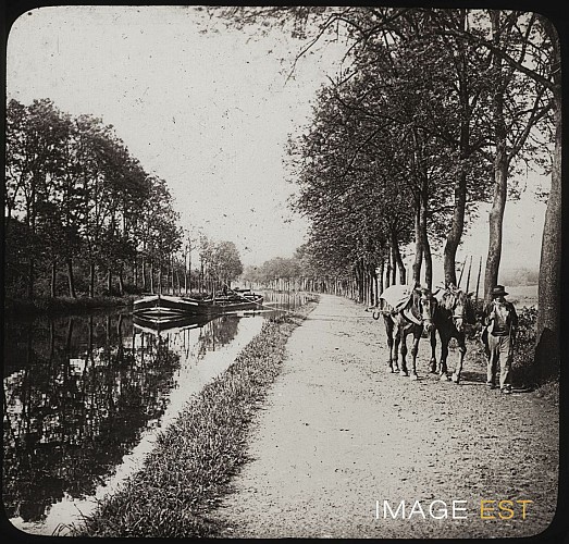 Halage d’une péniche par des chevaux vers 1894-1905. Photographie de Guy Ro-partz