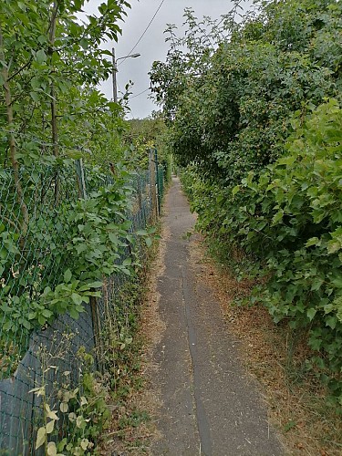 Sentier du Dimanche au départ de la rue Dusaulx