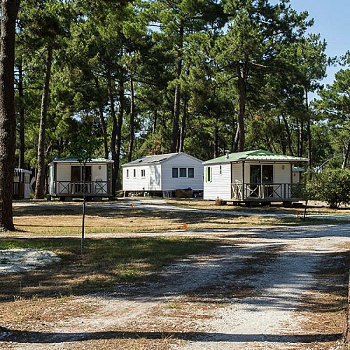 Camping Municipal de l'Océan2