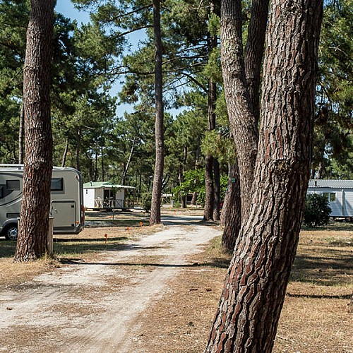 Camping Municipal de l'Océan4