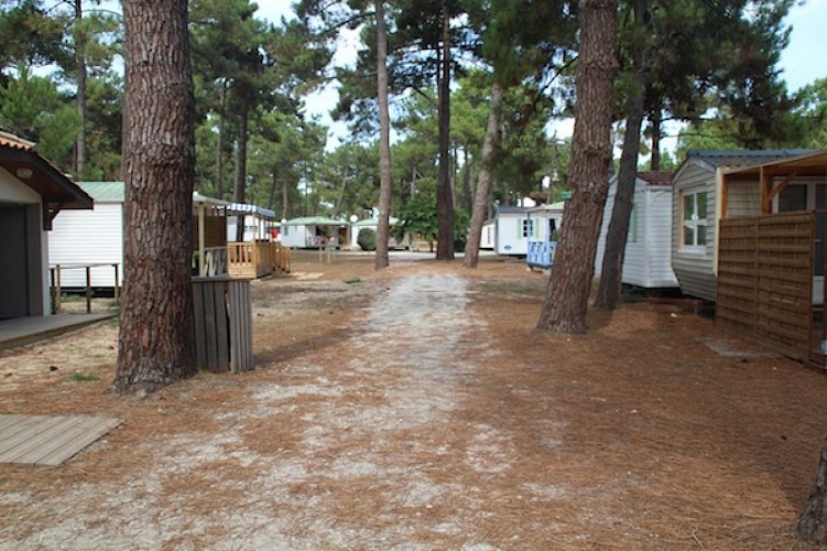 Camping Municipal de l'Océan