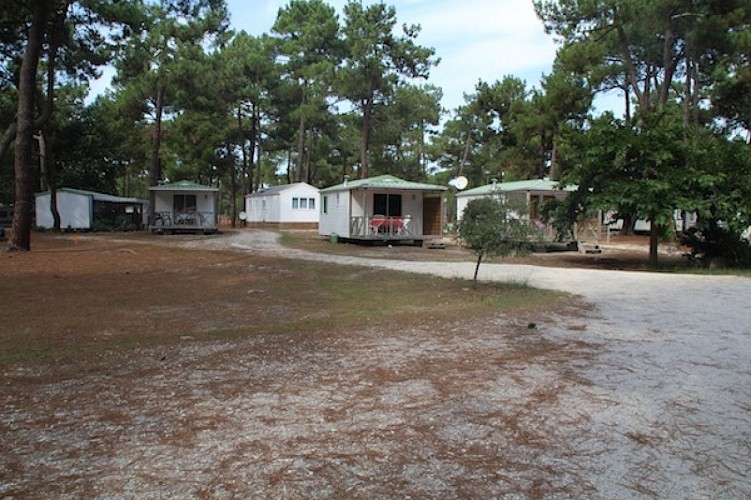 Camping Municipal de l'Océan