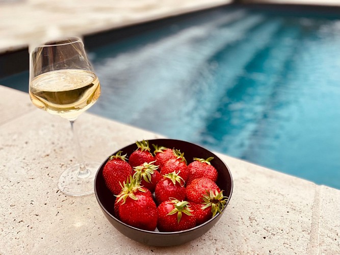 Solognetourisme-romorantin-gite-oranga piscine oranga cuisine végétarienne