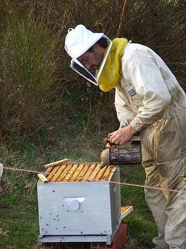 Les Délices des P'tites Abeilles - Beekeepers
