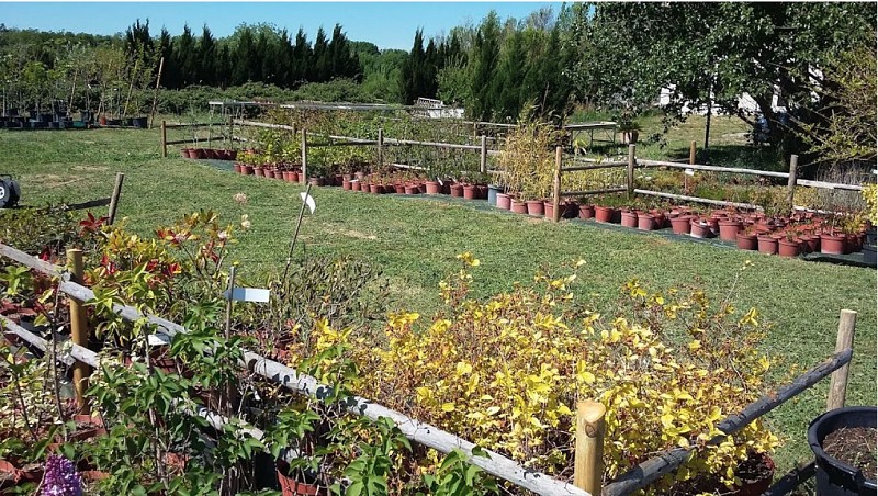 Les Jardins de Garrigue