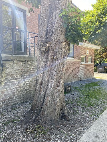 Classes vertes bâtiment