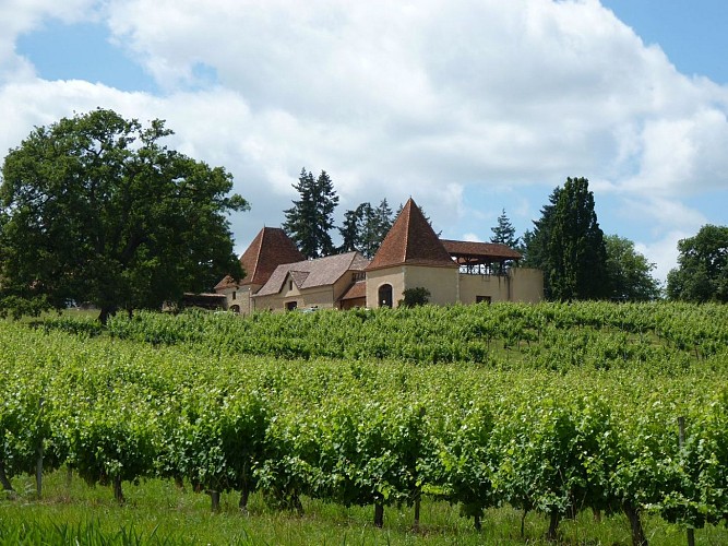 Aurions-Idernes domaine crampilh © tourisme nord bearn madiran 1400x1080