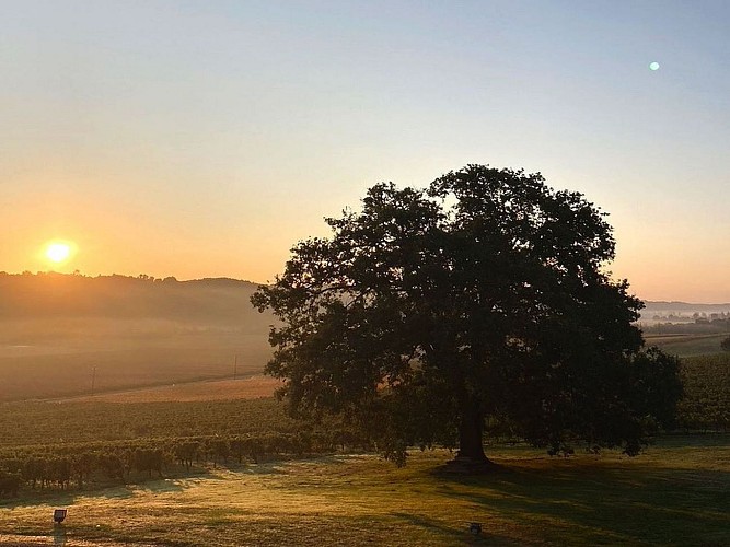 Domaine du Crampilh - Aurions-Idernes - cph Crampilh