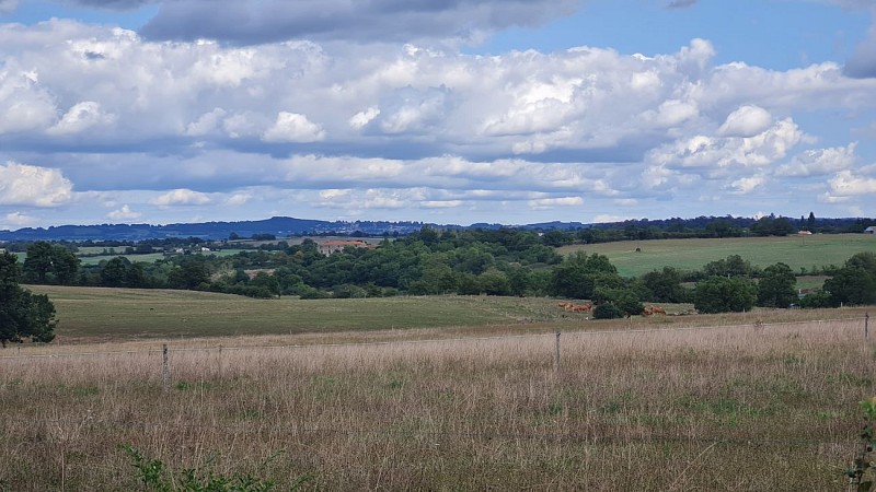 Point de vue sur le bocage Vendéen