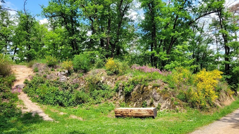 Domaine