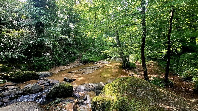 Ruisseau de la Grande Rivière