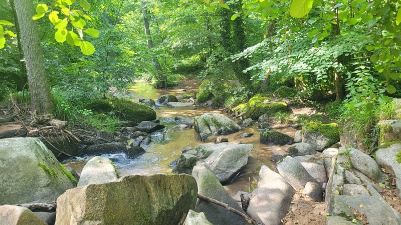 Ruisseau de la Grande Rivière