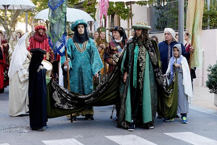 La Malle aux Costumes - Catherine INGRASSIA