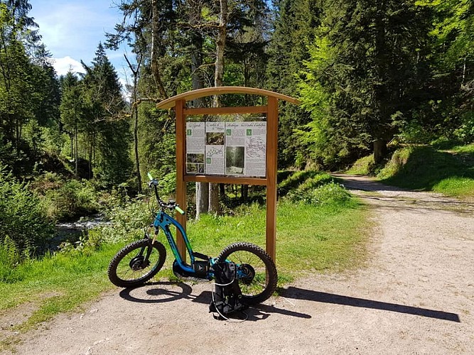 La Trotrx - Verleih von Mountainbikes und Elektrorollern