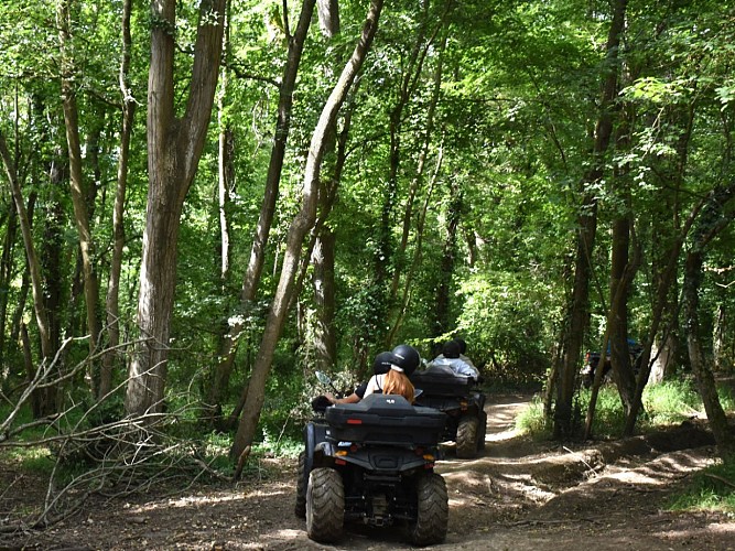 Design sans titre - 1