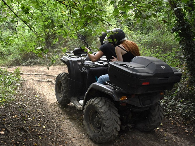 Design sans titre - 1