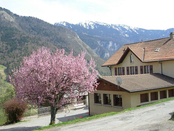 Gîte les Hermones