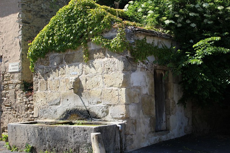 Fontaine Montjoly