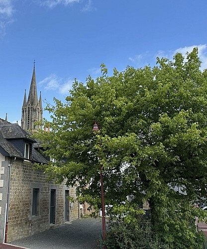 Gîte Auprès De Mon Arbre