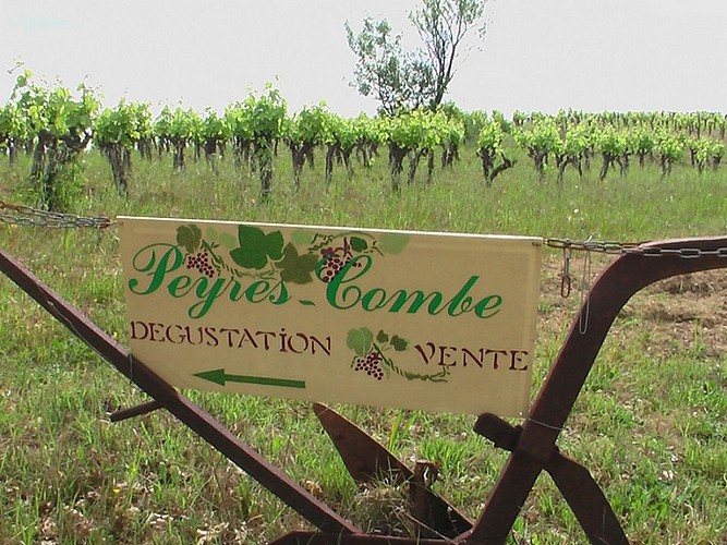 Domaine de Peyres Combe