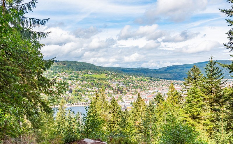 La roche du renard - stein