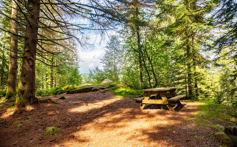 La roche du renard - stein