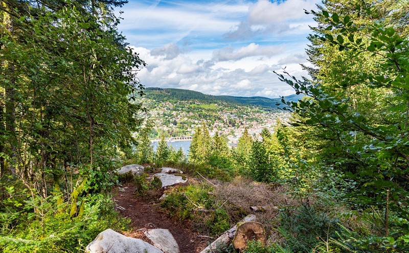 La roche du renard - stein