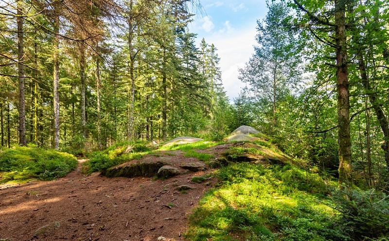 La roche du renard - stein