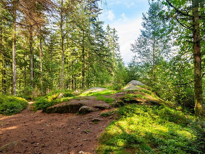 LA ROCHE DU RENARD