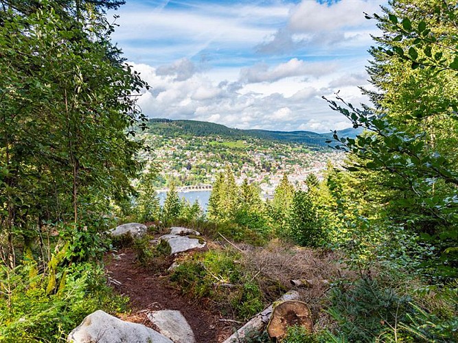 LA ROCHE DU RENARD - STEEN