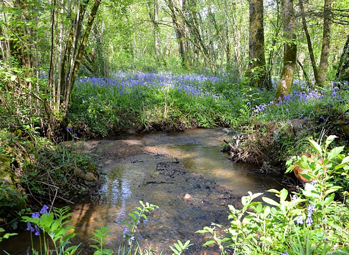 Sentier-Musical-Pageas_ruisseau©Clotilde-Benni