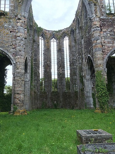 Abbaye d'Aulne et ses ruines