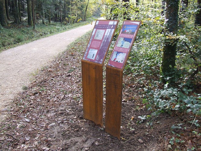 Das thematischer Rundgang des ersten Weltkrieges