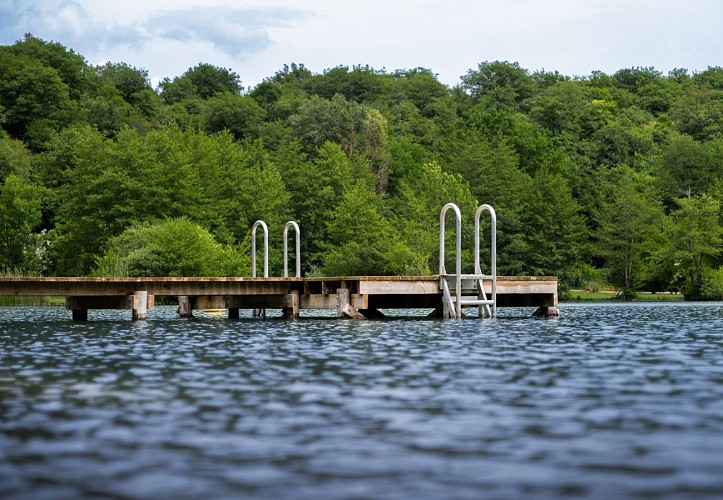 Baignade au lac de Virieu-le-Grand