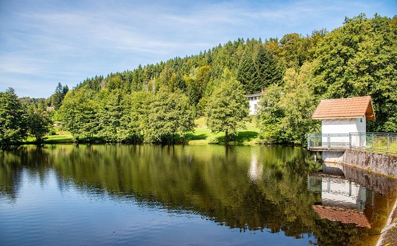 L'étang de noir rupt - pond
