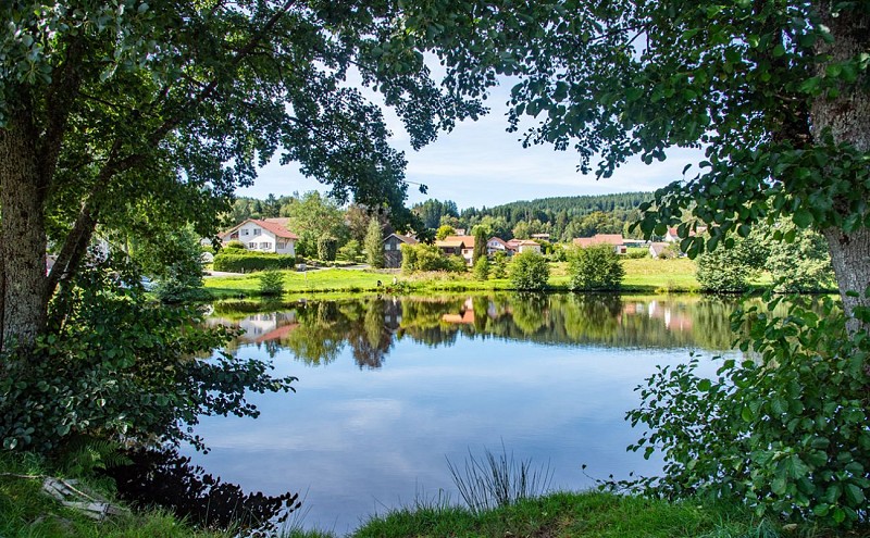 L'étang de noir rupt - pond