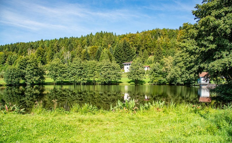L'étang de noir rupt - pond