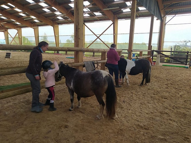 Balade à poney (30min) aux Chevaux de Marolles