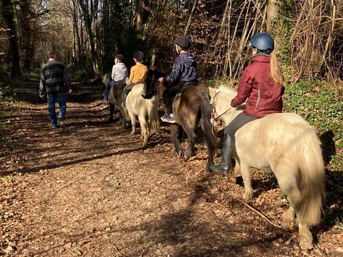 Balade à poney (1 heure) au Centre équestre La Chevauchée