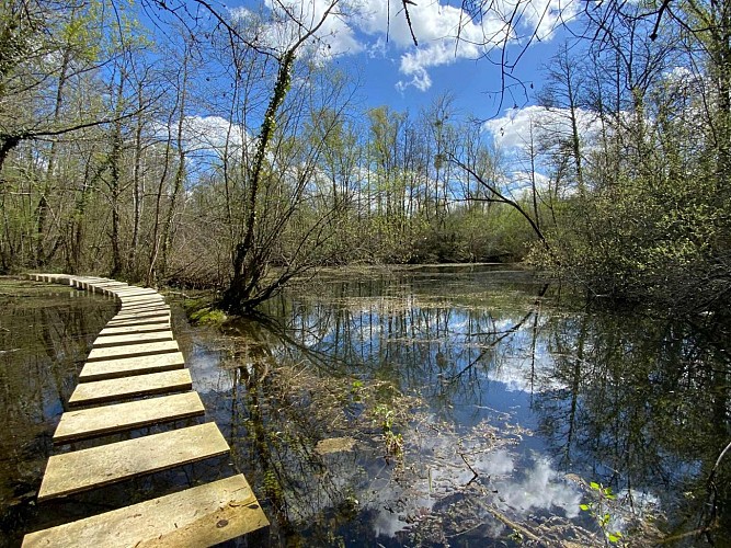 Carriere-de-Jeandillon-Martres_OTEM (1)