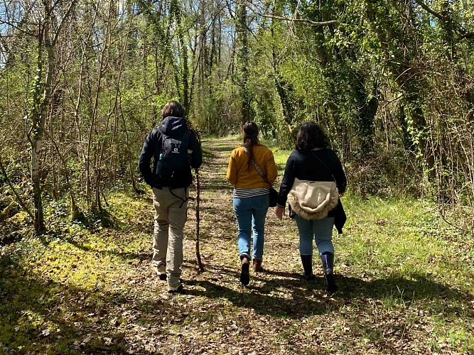 Carriere-de-Jeandillon-Martres_OTEM-fotor-enhance-20250610163650