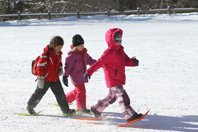 Noords skigebied La Vattay-Valserine