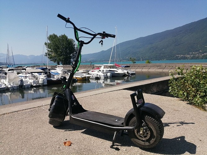 Electric scooter rental