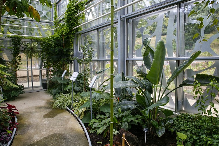 La Serre du jardin botanique