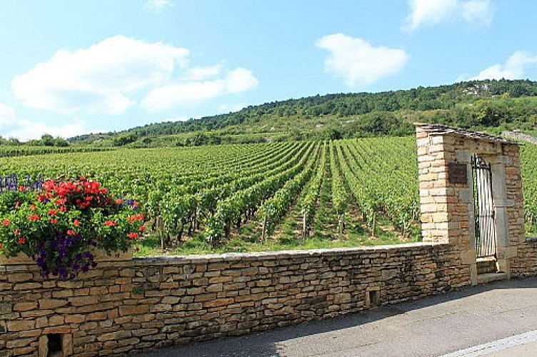 Bourgogne Randonnée