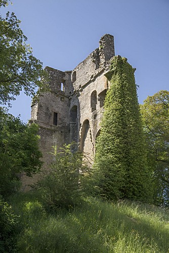 Donjon Henri Ier Vire