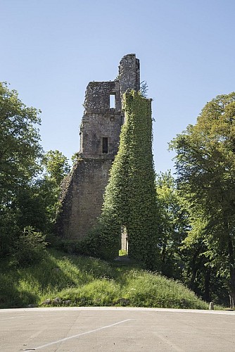Donjon du Château Féodal
