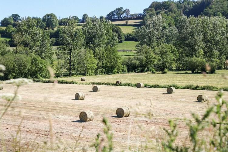 OT_2020_GorgesDeLaVire_Lucie_Mach_HD-6