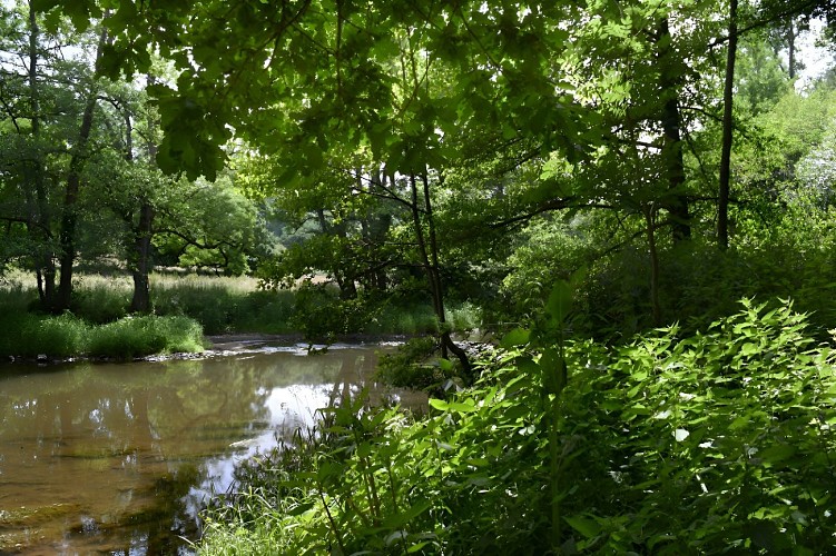 2022-OTPV-Gorges-de-la-Vire-Canoe-06