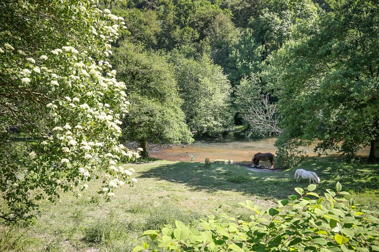 Gorges de la Vire